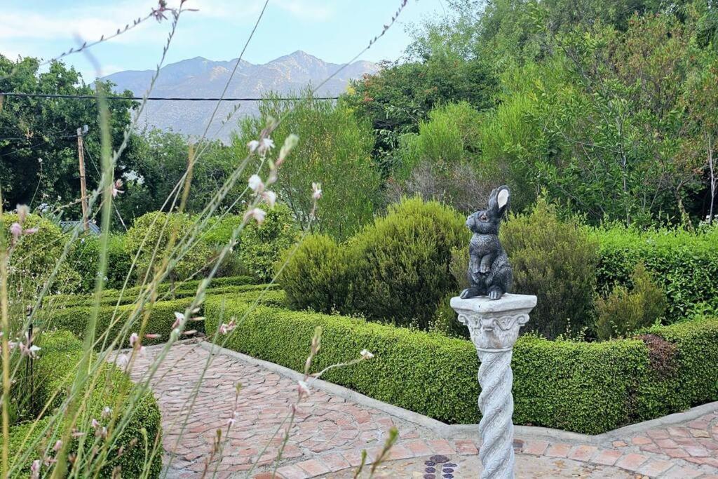 Grey Rabbit Cottage Montagu Exteriör bild