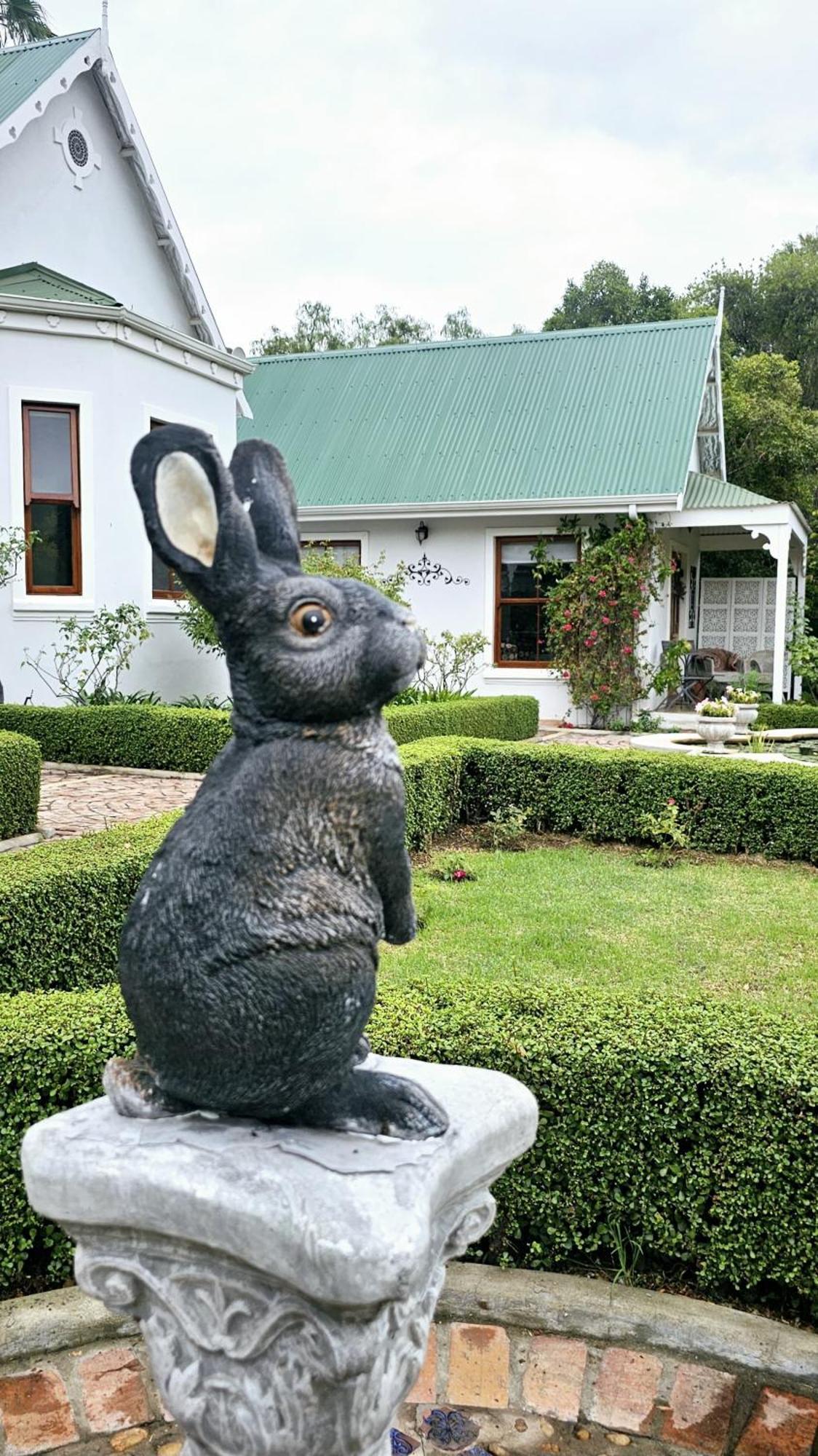 Grey Rabbit Cottage Montagu Exteriör bild